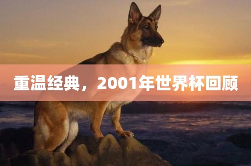 重温经典，2001年世界杯回顾