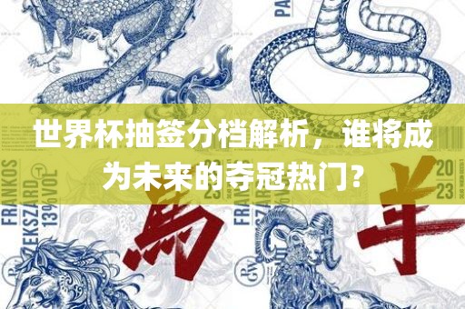 世界杯抽签分档解析，谁将眉山市正发家政服务有限公司成为未来的夺冠热门？