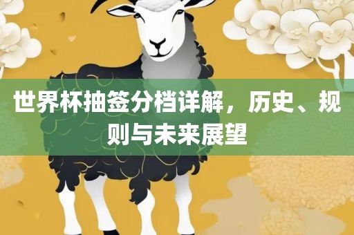 世界杯抽签分档详解，历史、规则与未来展望眉山市正发家政服务有限公司