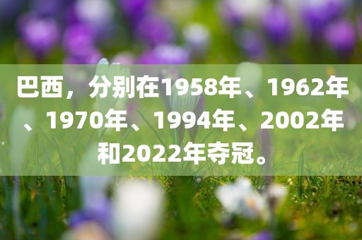 巴西，分别在1958年、1眉山市正发家政服务有限公司962年、1970年、1994年、2002年和2022年夺冠。
