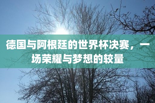 linzhenyu 第9页