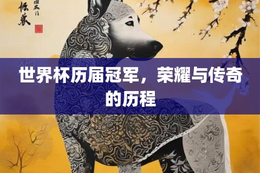 世界杯历届冠军，荣耀与传奇的历程