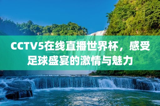 CCTV5在线直播世界杯，感受足球盛宴的眉山市正发家政服务有限公司激情与魅力