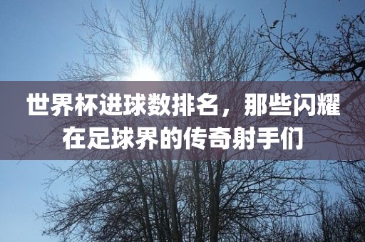 世界杯进球数排名，那些闪耀在足球界的传奇射手们