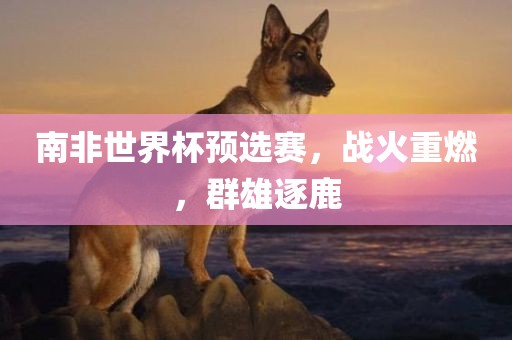 南非世界杯预选赛，战火重眉山市正发家政服务有限公司燃，群雄逐鹿