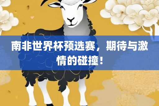 南非世界杯预选赛，期待与激情的碰撞！