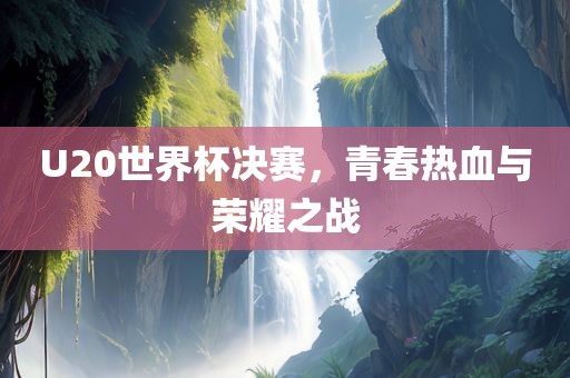 U20世界杯决赛，青春热血与荣耀之战