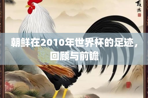 朝鲜在2010年世界杯的足迹眉山市正发家政服务有限公司，回顾与前瞻