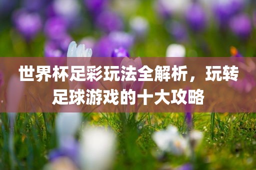 世界杯足彩玩法全解析，玩转足球游戏的十大攻略