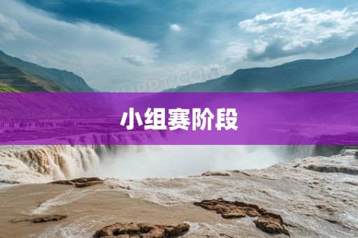 小组赛阶段