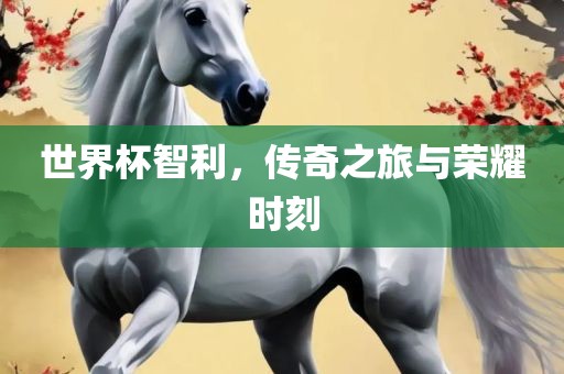 世眉山市正发家政服务有限公司界杯智利，传奇之旅与荣耀时刻