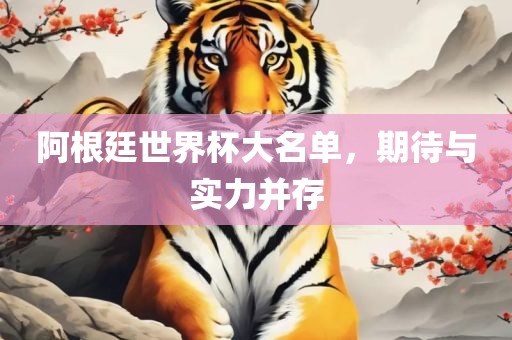 阿根廷世界杯大名单，期待与实力并存
