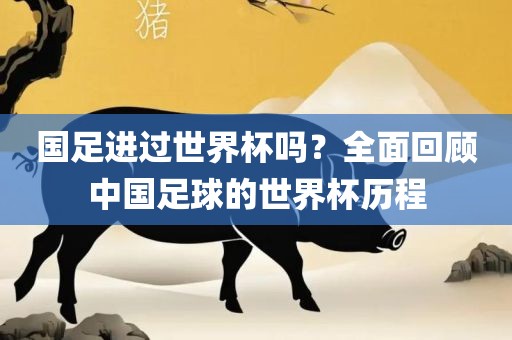 国足进过世界杯吗？全面回顾中国足球的世界杯历程