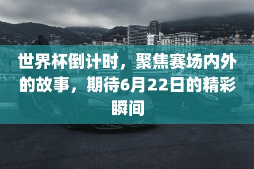 jinrou 第10页
