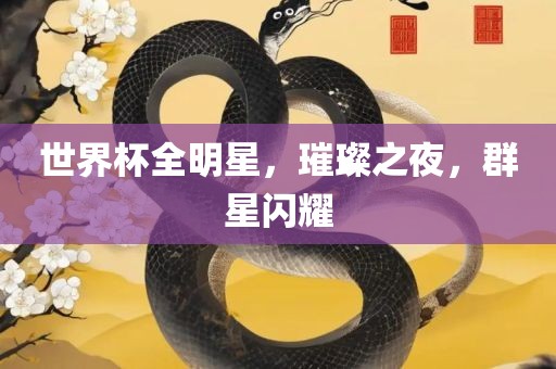 世界杯全明星，璀璨之夜，群星闪耀