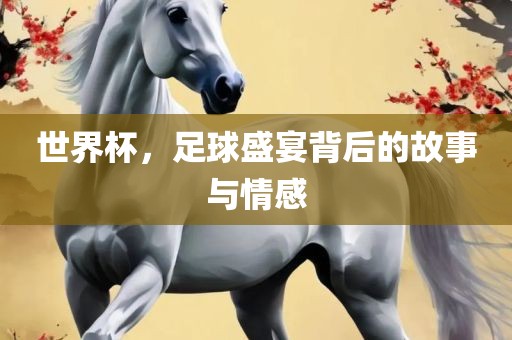 世界杯，足球盛宴背后的故事与情感眉山市正发家政服务有限公司