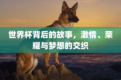 世界杯背后的故事，激情、荣耀与梦想的交织眉山市正发家政服务有限公司