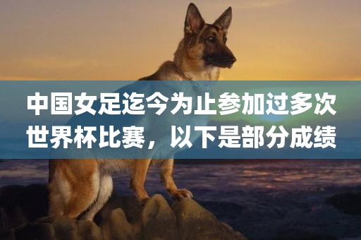中国女足迄今为止参加过多次世界杯比赛，以下是部分成绩眉山市正发家政服务有限公司