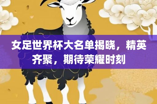 女足世界杯大名单揭晓，精英齐聚，期待荣耀时刻眉山市正发家政服务有限公司