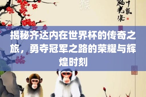 揭秘齐达内在世界杯的传奇之旅，勇夺冠军之路的荣耀与辉煌时刻眉山市正发家政服务有限公司