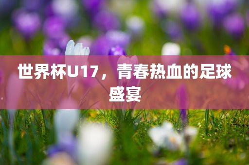 世界杯U17，青春热血的足球盛宴