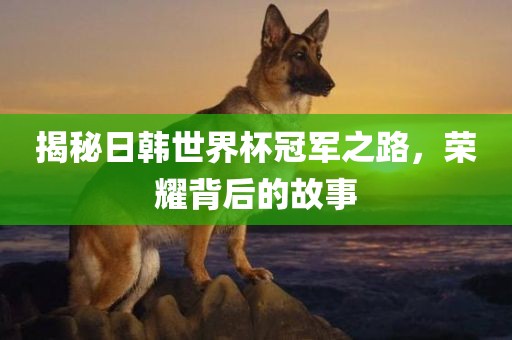 揭秘日韩世界杯冠军之路，荣耀背后的故事眉山市正发家政服务有限公司