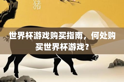 世界杯游戏购买指南，何处购买世界杯游戏？眉山市正发家政服务有限公司