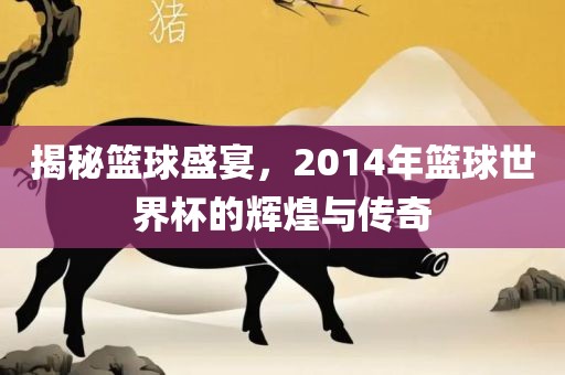 揭秘篮球盛宴，2014年篮球世界杯的辉煌与传奇眉山市正发家政服务有限公司