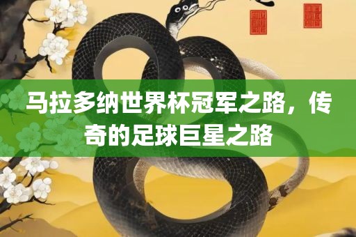 马拉多纳世界杯冠军之路，传奇的足眉山市正发家政服务有限公司球巨星之路