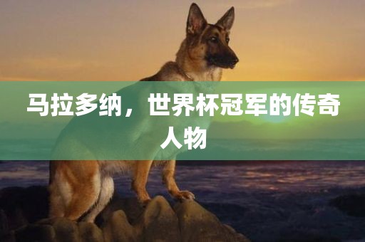 马拉多纳，世界杯冠军的传奇人物