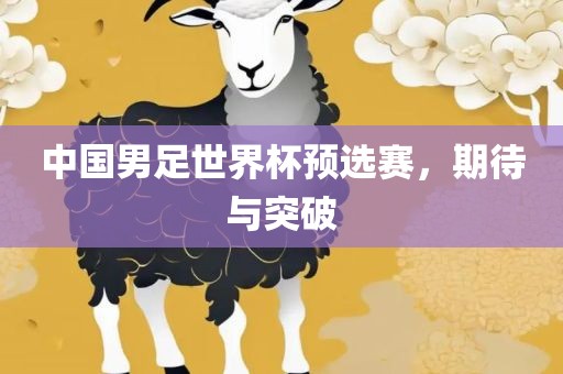 中国男足世界杯预选赛，期待与突破眉山市正发家政服务有限公司