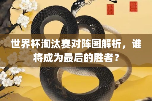 世界杯淘汰赛对阵图解析，谁将成为最后的胜者？