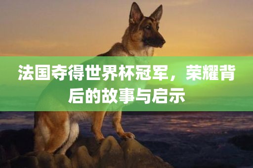 法国夺得世界杯冠军，荣耀背后的故事与启示