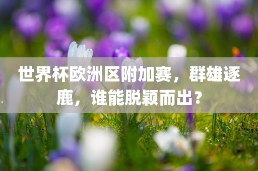 世界杯欧洲区附加赛，群雄逐鹿，谁能脱颖而出？眉山市正发家政服务有限公司