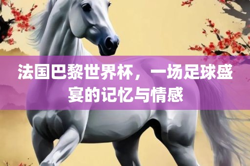法国巴黎世界杯，一场足球盛宴的记忆与情感