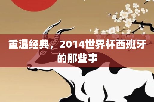 重温经典，2014世界杯西班牙的那些事