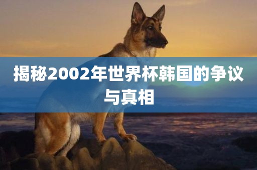 揭秘2002年世界杯韩国的争议与真相