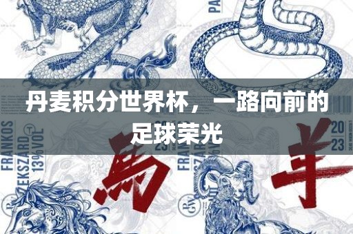 丹麦积分世界杯，一路向前的足球荣光