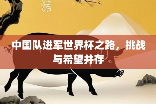 中国队进军世界杯之路，挑战与希望并存