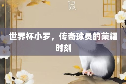 世界杯小罗，传奇球员的荣耀时刻