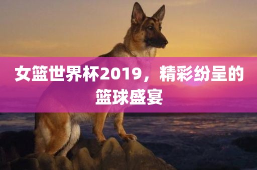 篮球盛宴 第3页