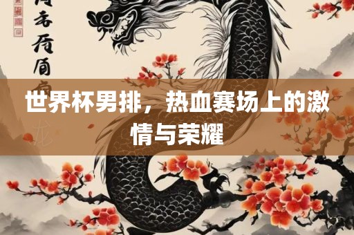 世界杯男排，热血赛场上的激情与荣耀眉山市正发家政服务有限公司