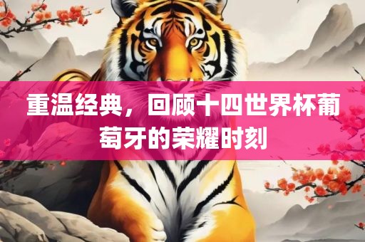 重温经典，回顾十四世界杯葡萄牙的荣耀时刻眉山市正发家政服务有限公司