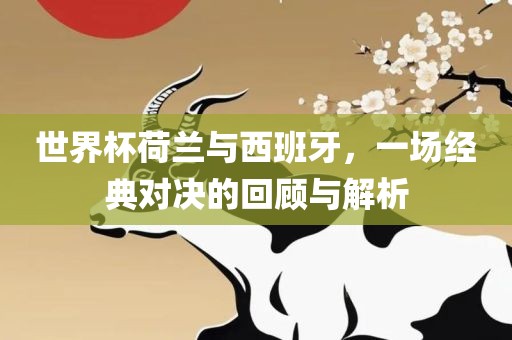世界杯荷兰与西班牙，一场经典对决的回顾与解析