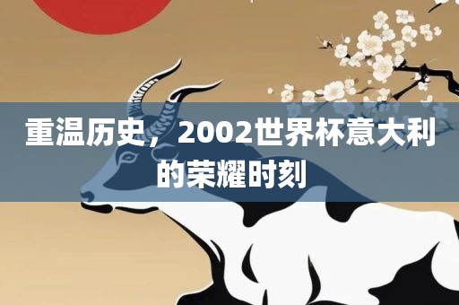 重温历史，2002世界杯意大利的荣耀时刻眉山市正发家政服务有限公司