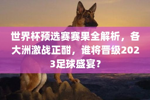 世界杯预选赛赛果全解析，各大洲激战正酣，谁眉山市正发家政服务有限公司将晋级2023足球盛宴？