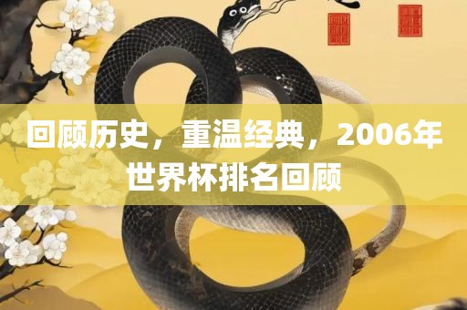 回顾历史，重温经典，2006年世界杯排名回顾