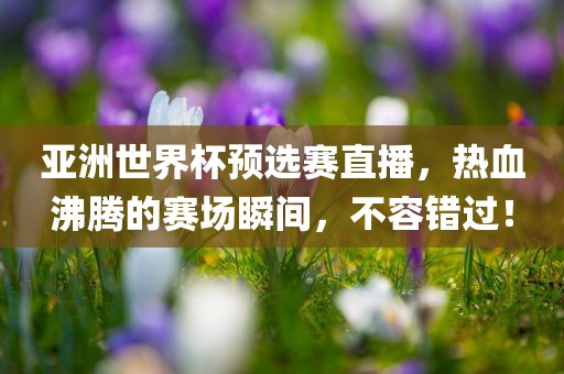 亚洲世界杯预选赛直播，热血沸腾的赛场瞬间，不容错过！