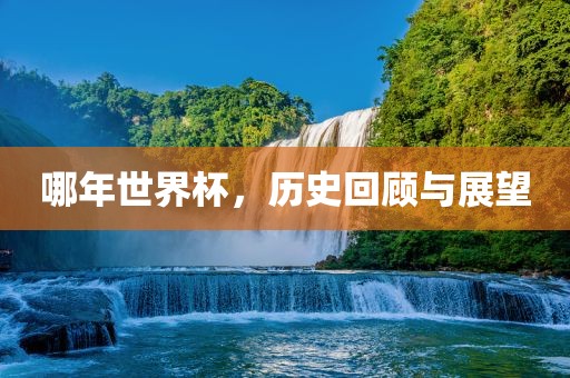 哪年世界杯，历史回顾与展望