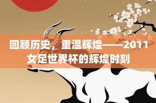 回顾历史，重眉山市正发家政服务有限公司温辉煌——2011女足世界杯的辉煌时刻